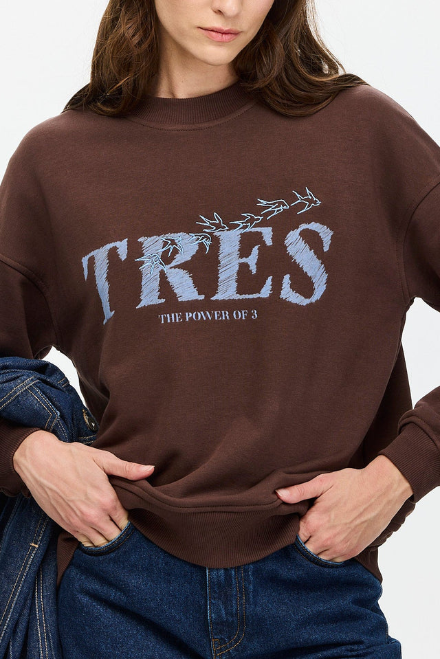 Pre-order: Birds Sweatshirt Brown